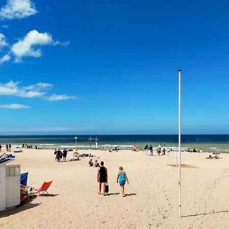 Apartment Cozy In With Wifi